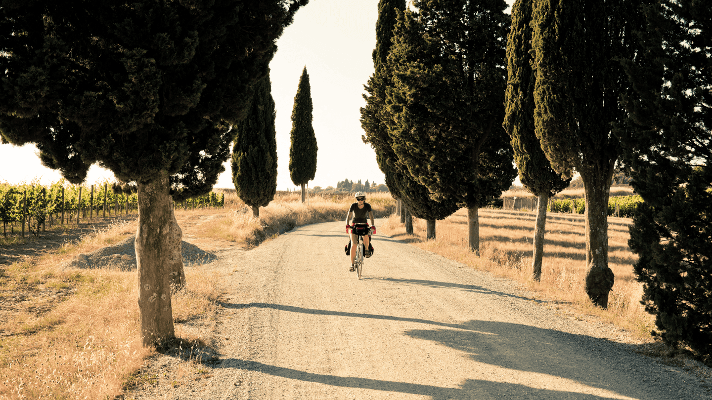 Fiets- en e-bikeverhuur