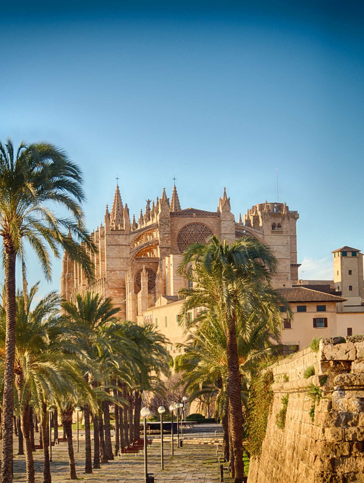 Palma